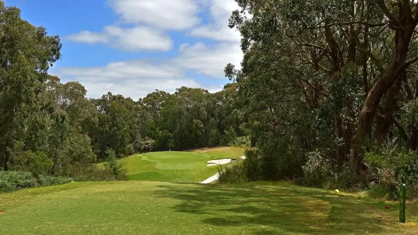 Looking down a tree-lined fairway from the tee on an East Gippsland course