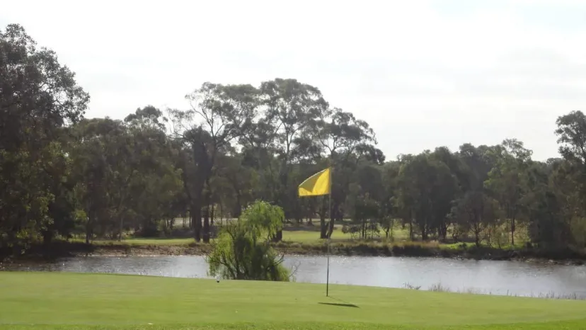 A green beside a pond at Heyfield Golf Club, with the flag in the hole